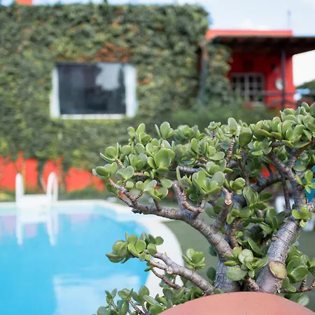 La Alpispa * San Francisco de Paula